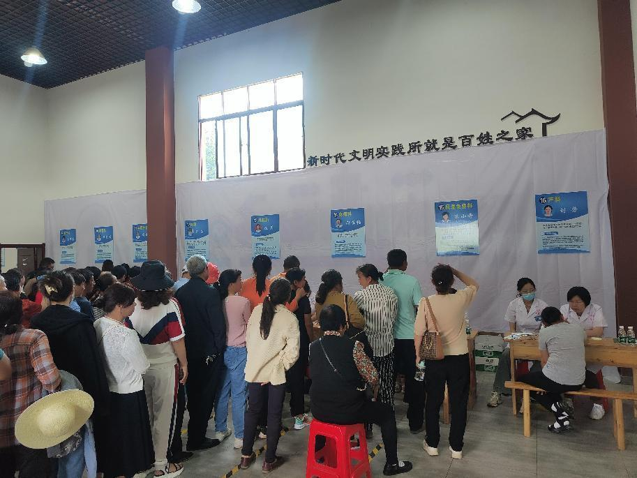 湖北省各民主党派开展“同心服务乡村行”活动 助力社会经济咨询服务