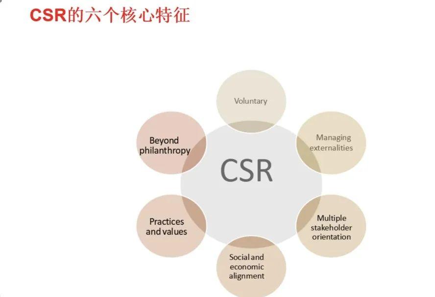 睿丛咨询举办《企业社会责任》讲座，引领企业构建可持续发展新范式